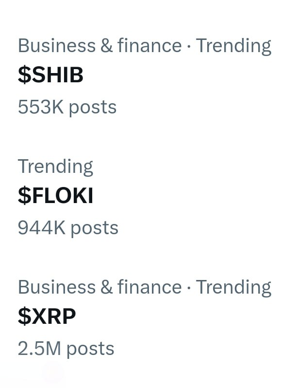 Twitter has now officially transformed into 'X'! The Bird🐦 might have  flown away, but Floki🐶 is here to stay! : r/Floki