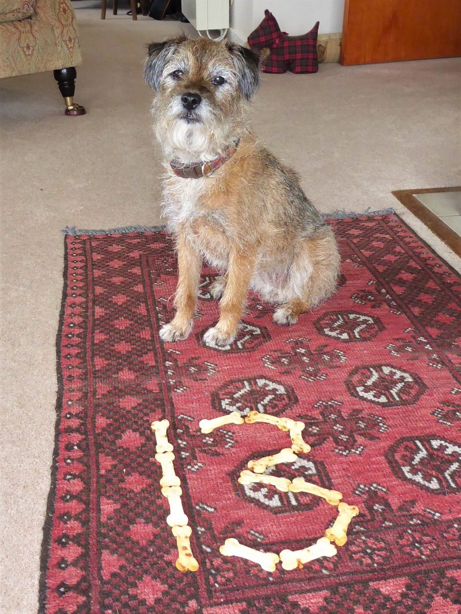 Katy Chaos 🌈 tweet media