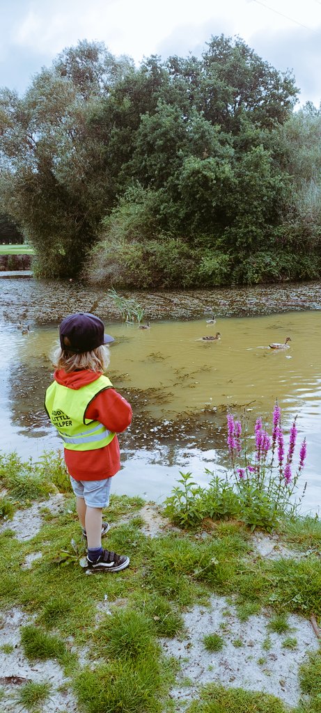 KeepingGreens88's tweet photo. After another long, hard, but successful maintenance week @BulburyWoodsGC. Thought it would be best to bring in an extra pair of hands to help out over the weekend! #startthemearly #footprintsidontmindraking https://t.co/k376H7oTWe