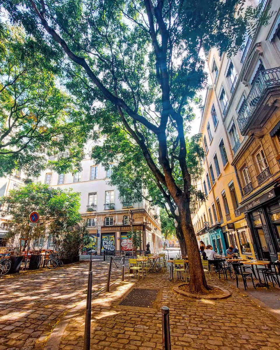 OnlyLyon's tweet photo. À la découverte des jolies places de #Lyon !
🚶♂️Place du Change avec @madeinsoline
😌 Place Fernand Rey avec @_elizetthe_
⛲ Place du Maréchal-Lyautey avec @atelierdusourcil_lyon6
✨ Place Saint-Jean avec @laura_hayek_photographer
#visitlyon https://t.co/uSiNfFnM0n