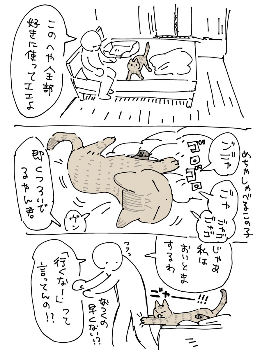 めちゃ雑絵日記 居候くん保護後の続報(4まいある)