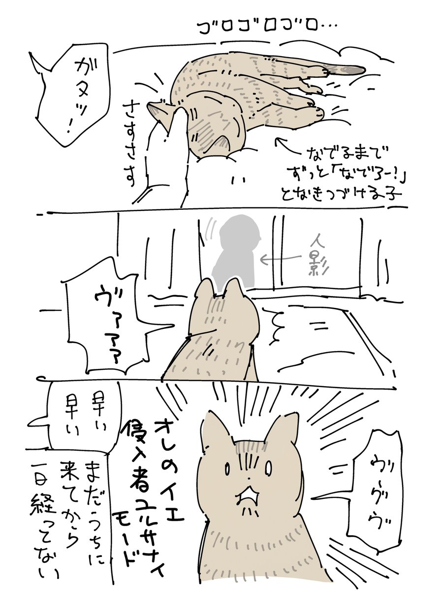 めちゃ雑絵日記 居候くん保護後の続報(4まいある)