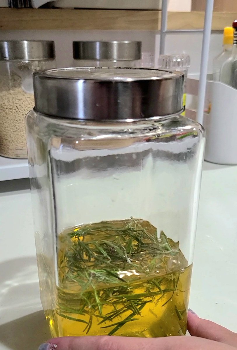 herbs_l_d's tweet photo. ローズマリーを使って「ローズマリーのはちみつ漬け」を作りました✨✨
2～3週間ねかせて
トーストやヨーグルトにのせようと思います✨
 #ローズマリー
 #ハーブ
 #ハーブ栽培
 #ハーブのある暮らし
 #ハーブのある生活 https://t.co/jqSUZw5Y6l