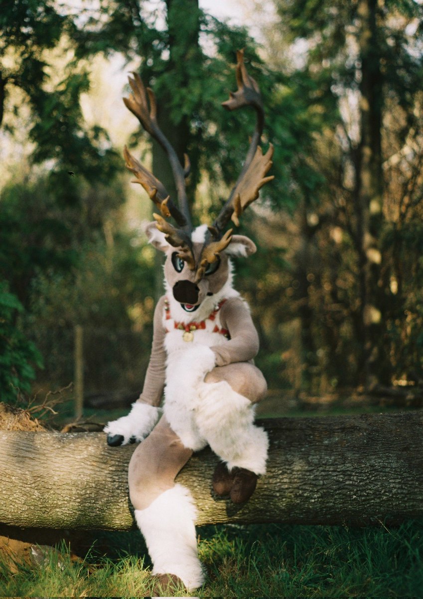 Happy #FursuitFriday in the woods

Captured with an old 35mm camera
📷  @michaelvandenber
📌 delta park, south africa