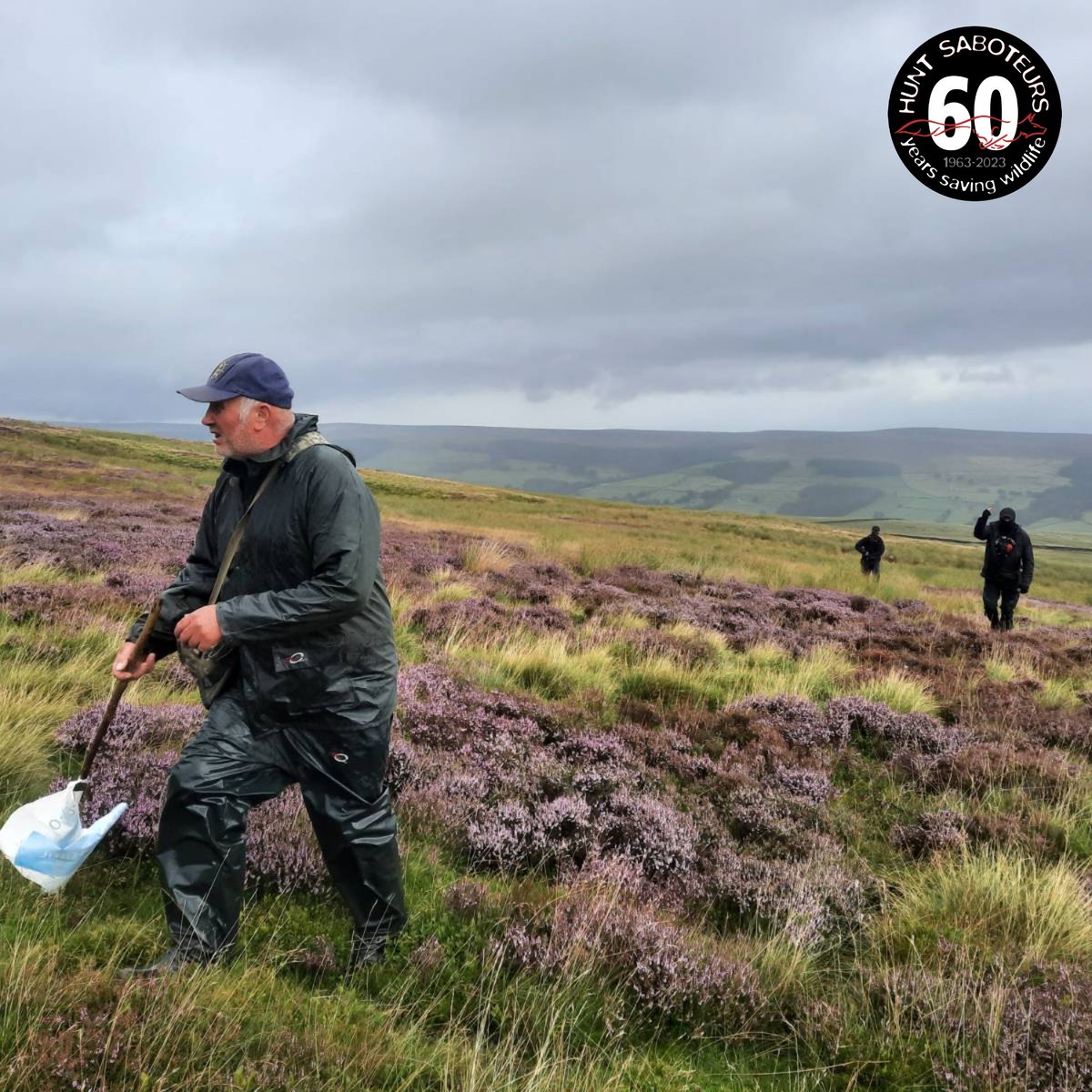 HuntSabs's tweet photo. THE NOT SO GLORIOUS 12TH

Hunt Saboteurs from multiple groups have shut down their first shoot of the day  on the Heathfield Moor in Nidderdale.

More to follow..... https://t.co/qHegFLirgn