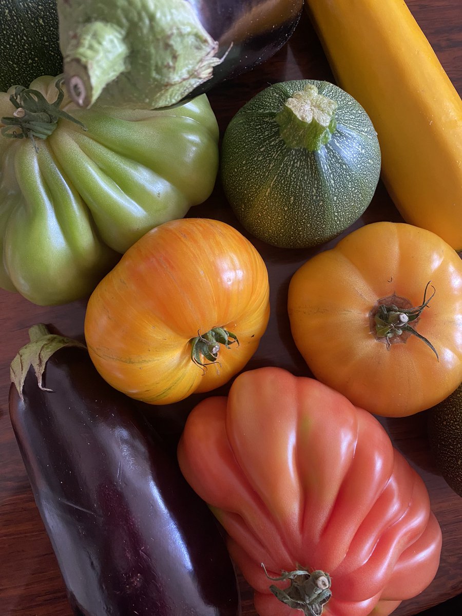 Jonathan L. tweet media