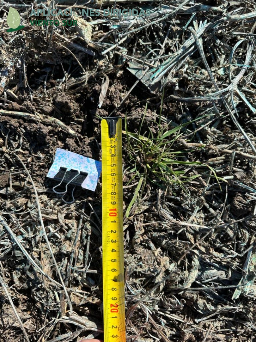 Viento Sur tweet media