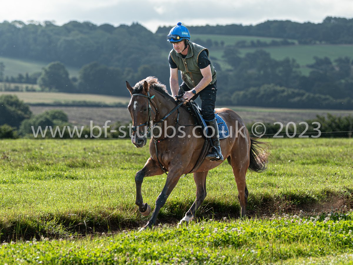 BF_Stubbs's tweet photo. The Boss @JoeTizzard helping out with riding @TizzardRacing on Wednesday morning as the horses are brought back to racing fitness levels. #TeamTizz #Tizzards #racingphotos #horsephotography
More photos at https://t.co/cMcXLDhEwU https://t.co/Zaa7tSbgWA