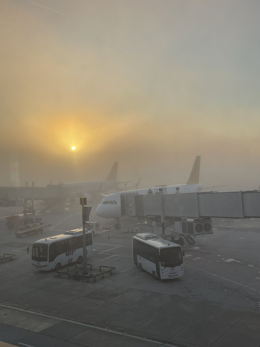 FridaMania's tweet image. Очень сложно было выбрать один аромат от Frederic Malle. Ну и с хобби тоже адски сложно, на первом месте, наверное, путешествия, причём именно на самолёте ✈️