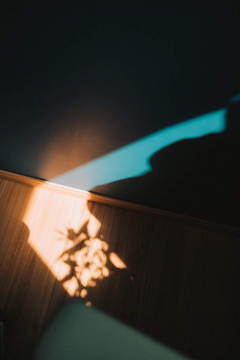 夏の夕暮れの光