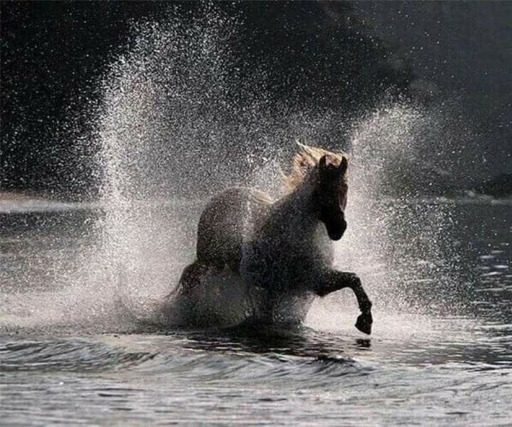 تمر السنين العابره واذكرك بـ..الخير
يا ٍ طيوفه .. صورة ٍ تسكن جفوني ... 🤍

☁️☁️

وإني لأُوصيك يارب بروحي ، فهي تسافر إليك أكثر مما تستقر لدي💕