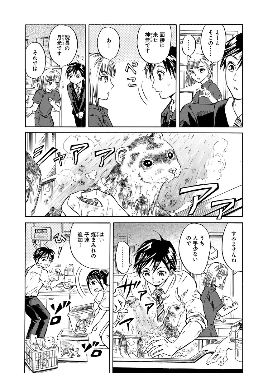 (6/11)