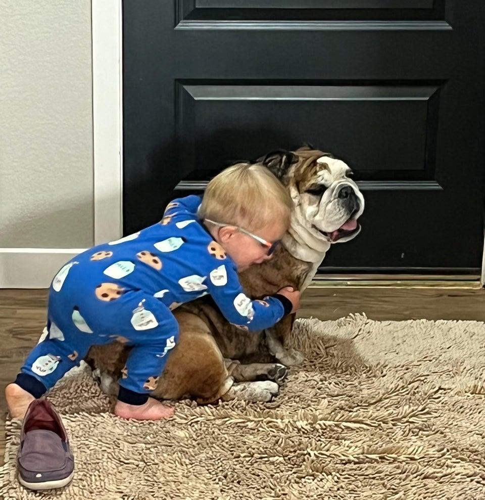 Bulldogs Lover tweet media