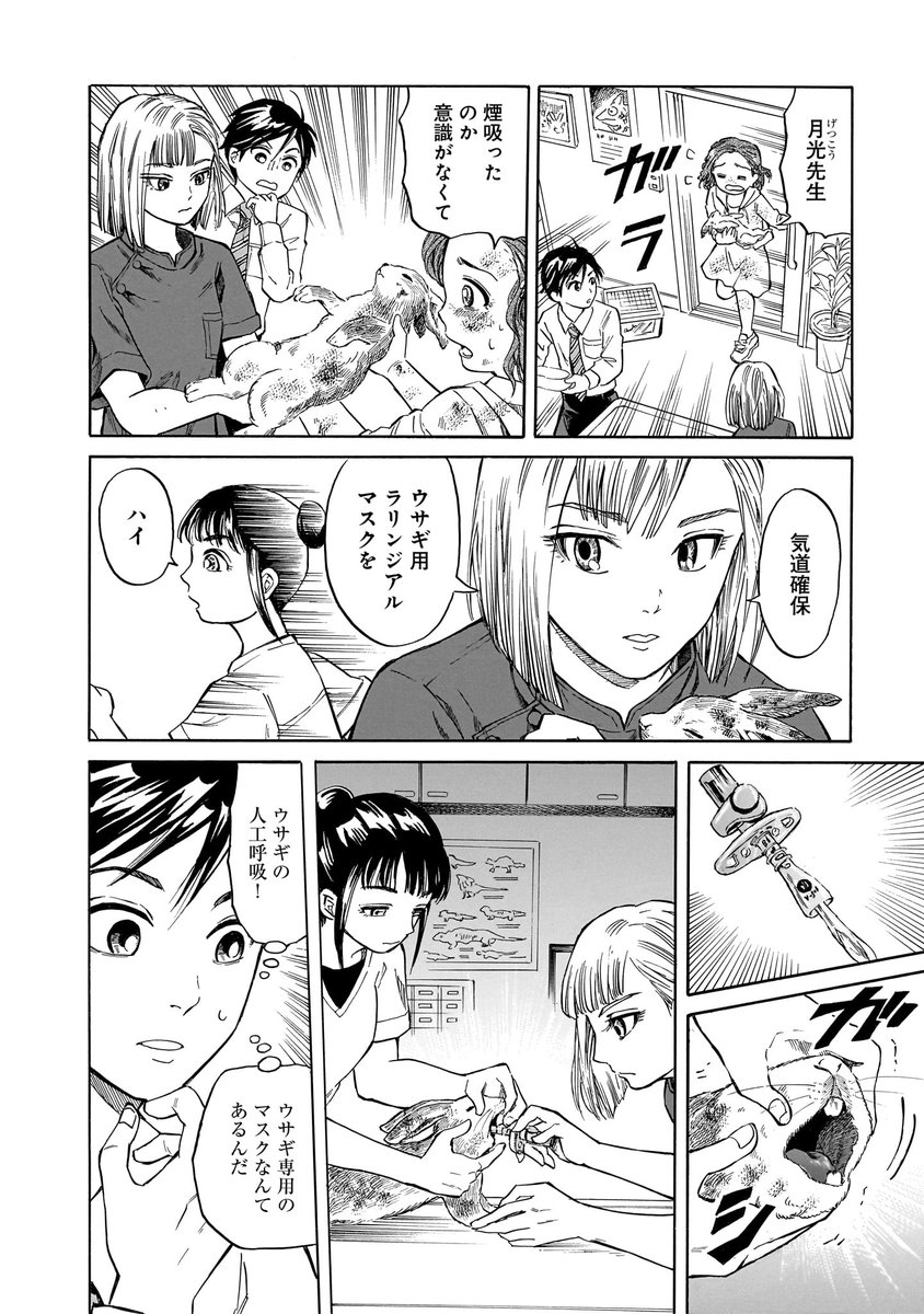 (6/11)