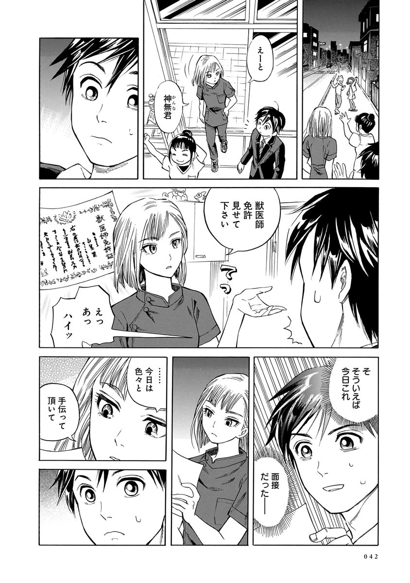 (11/11)