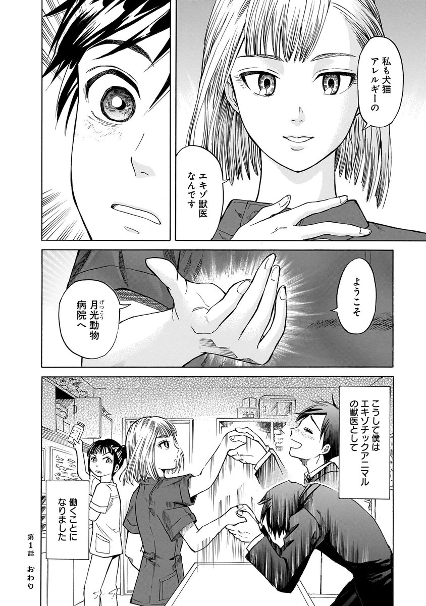 (11/11)