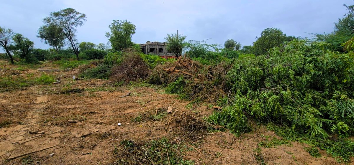 Save Dol Ka Badh Forest tweet media