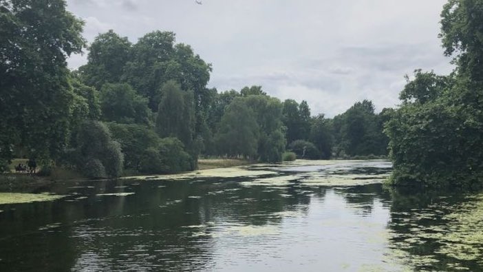 malusokay's tweet image. Reading outside &amp;lt;3