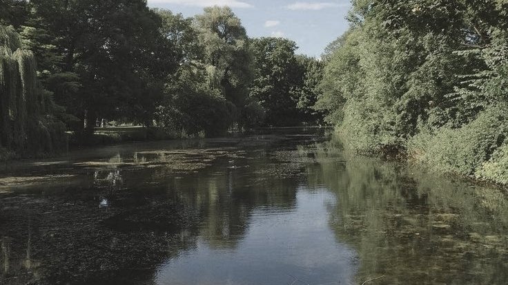 malusokay's tweet image. Reading outside &amp;lt;3