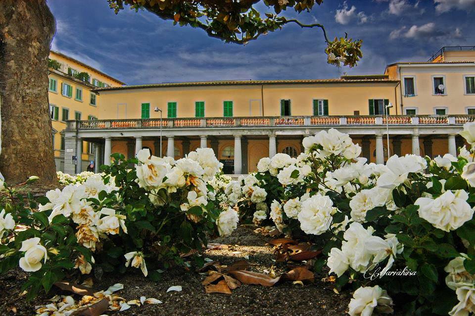 #buongiornomontevarchi

Foto di @MarialuisaSoloMontevarchi