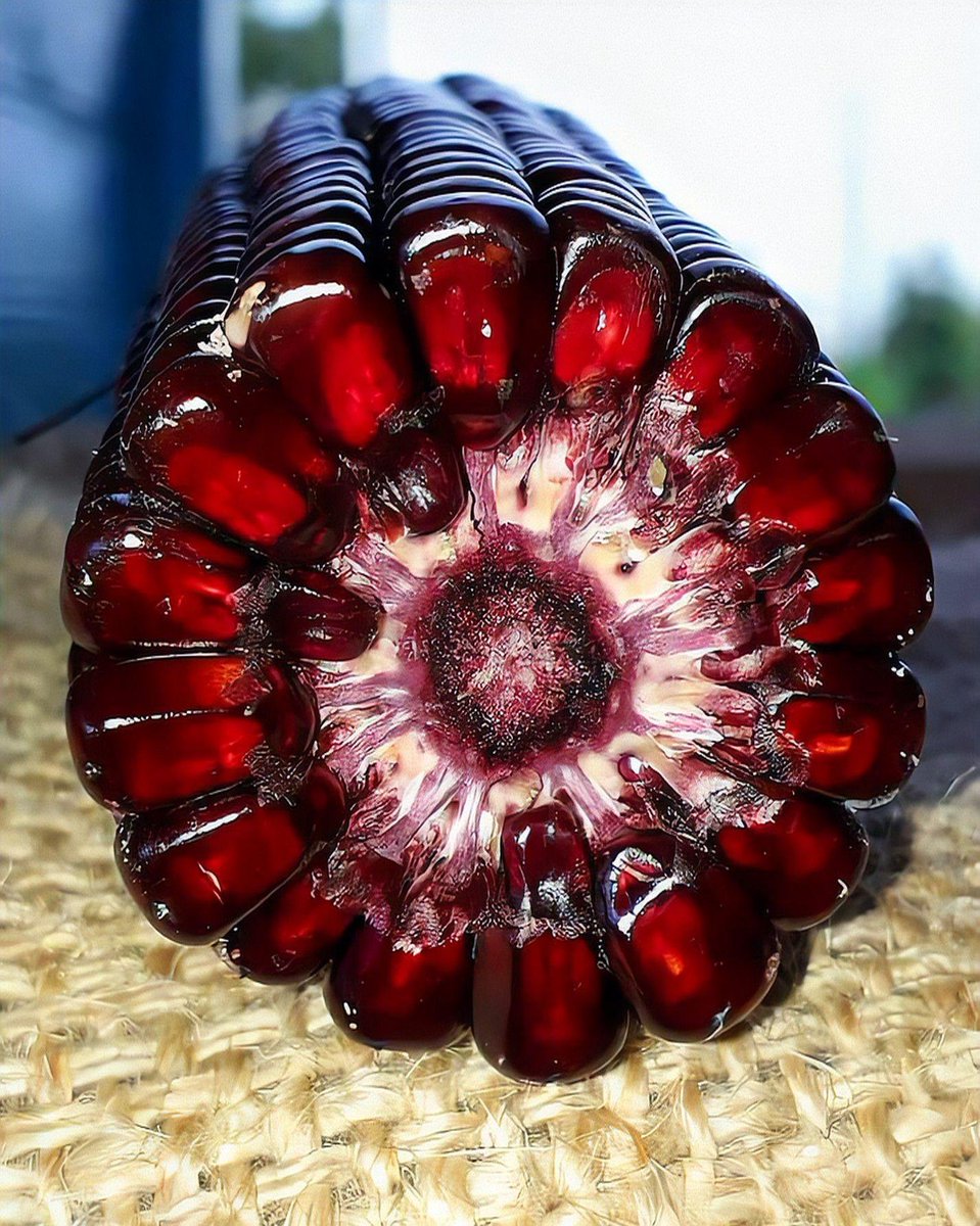 Comunidad Biológica tweet media