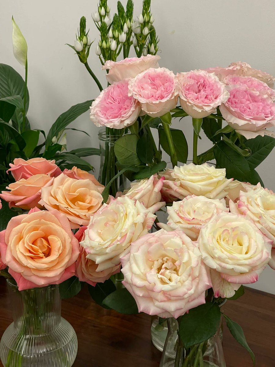 As long as there are flowers to bloom, life will not be with bleakness.