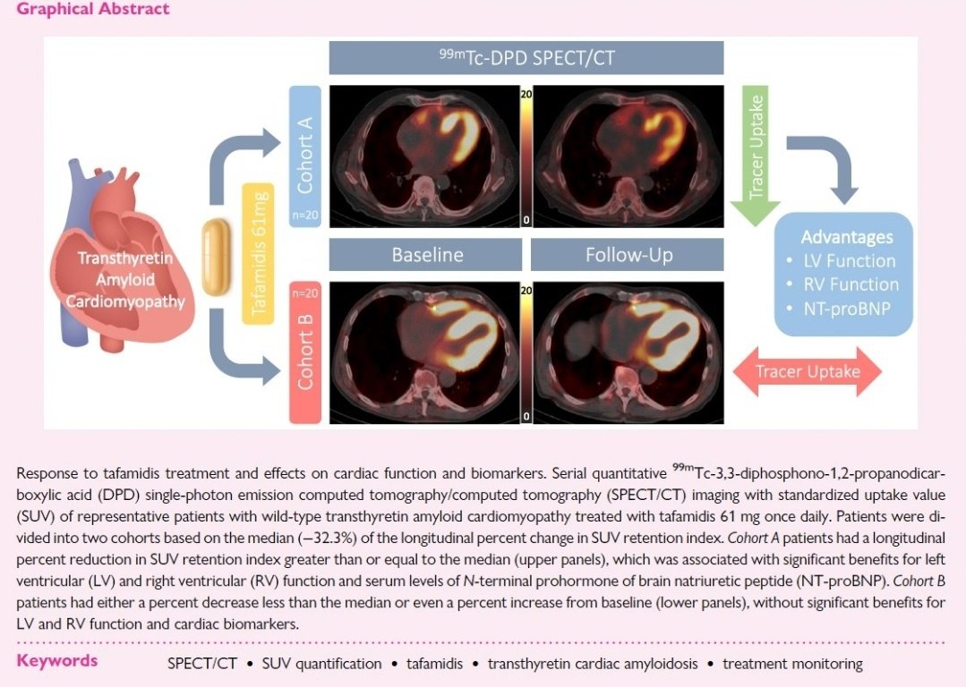 ⭐️ Serial quantitative 99mTc-DPD SPECT/CT imaging may be a valid tool to quantify and monitor response to tafamidis treatment in Transthyretin Amyloid Cardiomyopathy.

Article link &amp; snapshot 👇

academic.oup.com/ehjcimaging/ar…

#CardioEd #Cardiology #CardioTwitter #CardioX