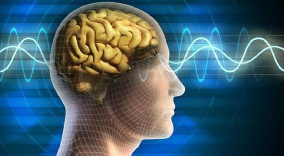 🔴 Araştırmaya göre, Dünyanın yarısı akıl sağlığını kaybedecek.

(T24)