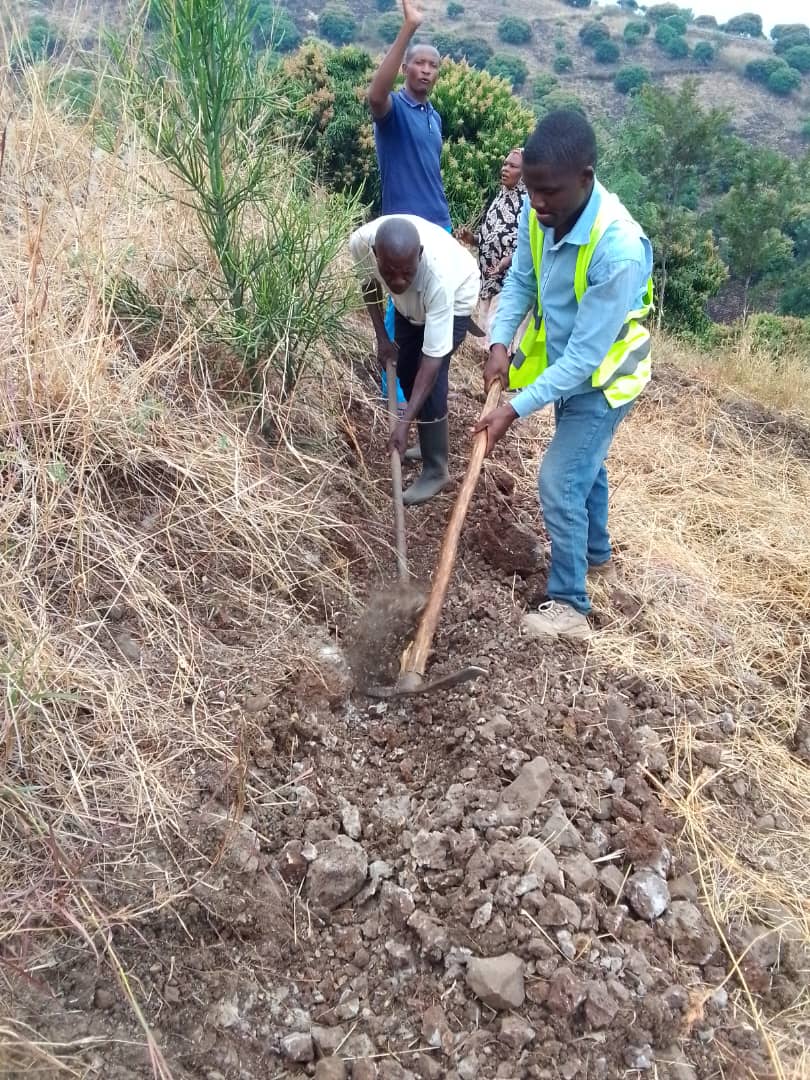 Abuyi15's tweet photo. @RusiziDistrict  Uyu munsi urubyiruko rw'abakorerabushake #Bugaramasector, ku ubufatanye n"izindi nzego hakozwe umuganda wokurwanya isuri ku musozi wa #RWANANKUBA
Gahunda ni TUJYANEMO https://t.co/Dqhw7mgVoO