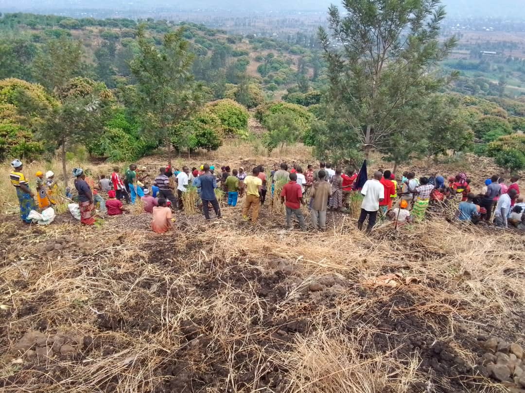 Abuyi15's tweet photo. @RusiziDistrict  Uyu munsi urubyiruko rw'abakorerabushake #Bugaramasector, ku ubufatanye n"izindi nzego hakozwe umuganda wokurwanya isuri ku musozi wa #RWANANKUBA
Gahunda ni TUJYANEMO https://t.co/Dqhw7mgVoO