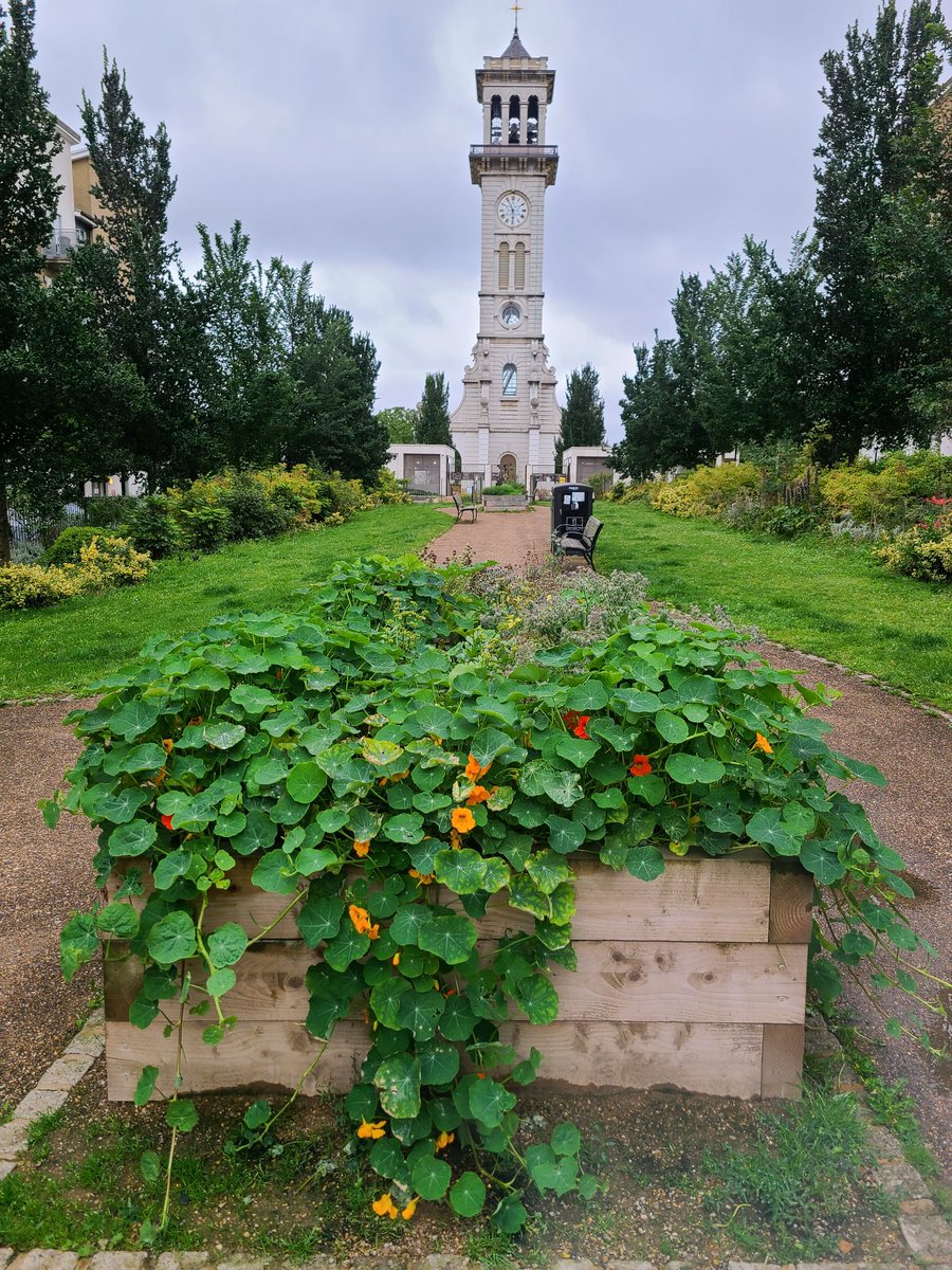 Aren't the herb beds growing well? Lots of delicious edibles - but must try to remember nasturtium leaves are too peppery for me!
