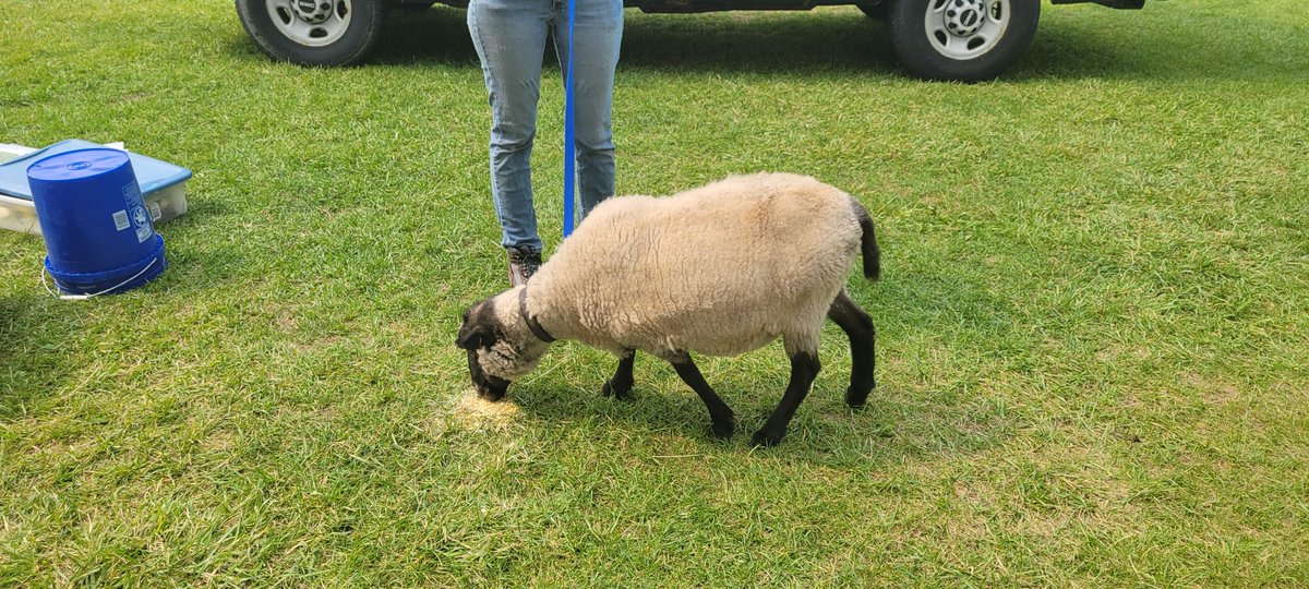 wickrecdaycamp's tweet photo. Lake FarmPark visit, 8-2-23 https://t.co/89Gr9kCr10