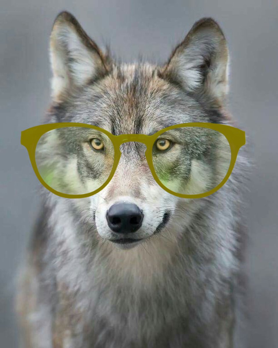 👓🐺