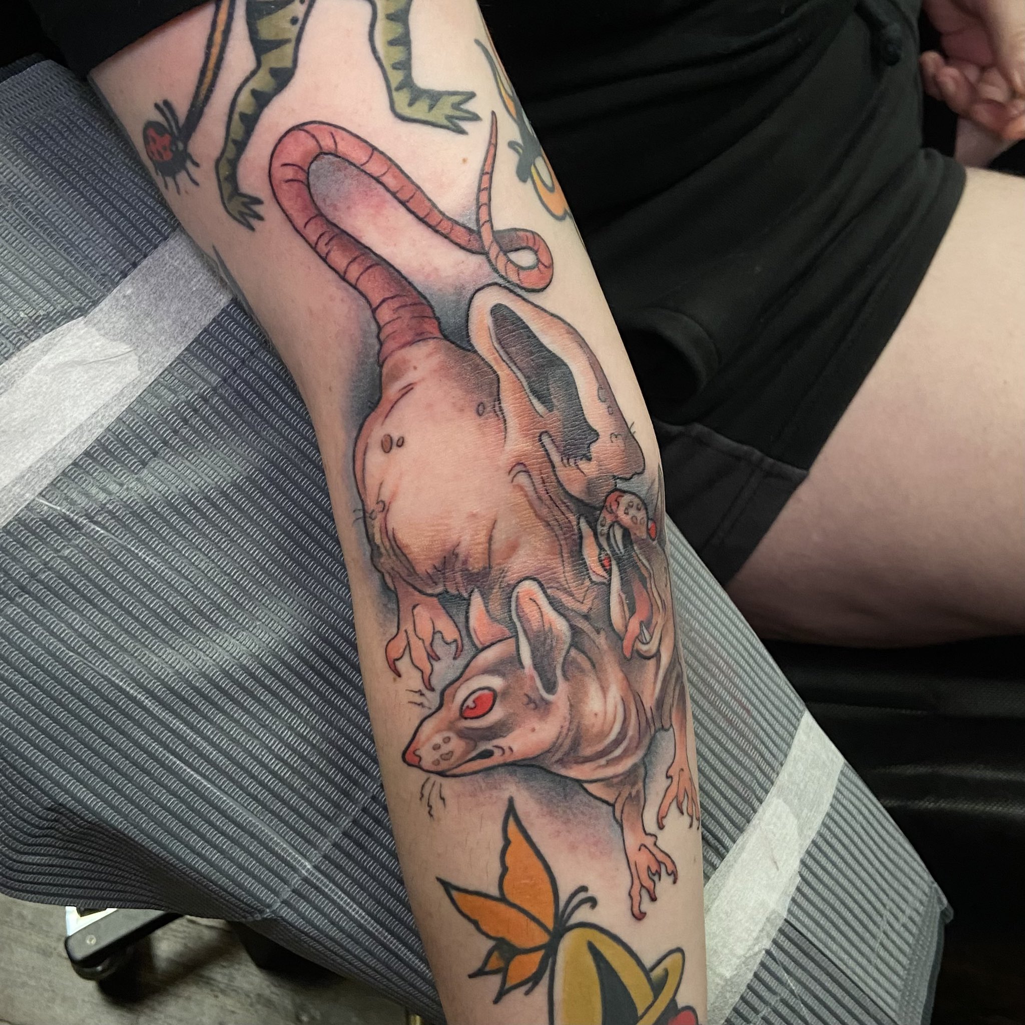 ALEKIVZ ✨ on X: "i love the range of rat tattoos… dead, alive, cute, creepy, weird, lines only, black and grey, colour, big, small… https://t.co/dBnTMsKrxp" / X