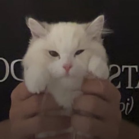 ลูกสาวของปะปี๊แจมมี่ 🐈🐈🤍

ลูกสาวคนโต มั่นใจใน   ลูกสาวคนรอง ดื้อนิดหน่อย
ตัวเอง ไม่ยอมปะปี๊ง่ายๆ   แต่ตามใจปะปี๊มาก