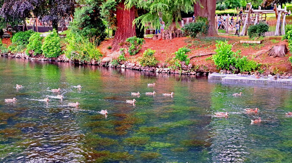 Gareth Ware tweet media