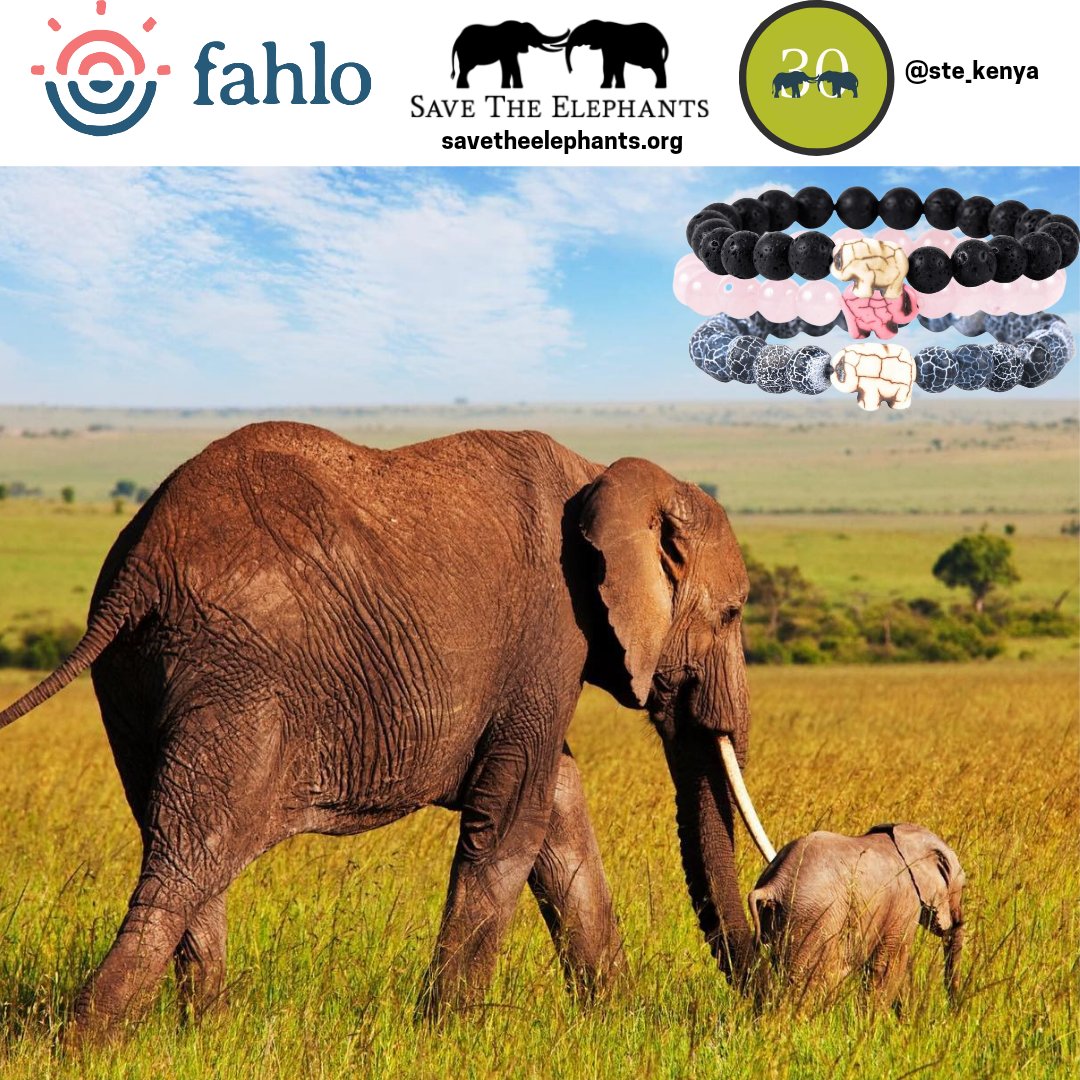 Elephant Jewelry  Save The Elephants with Fahlo