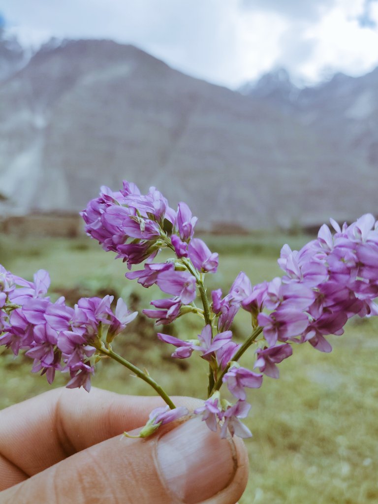 BakhtSpicher's tweet photo. Beautiful shimshal https://t.co/dxLi61oBI5