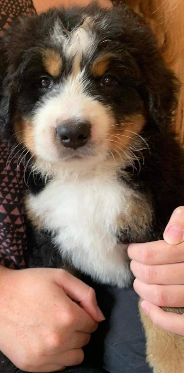 Garbage Queen tweet media