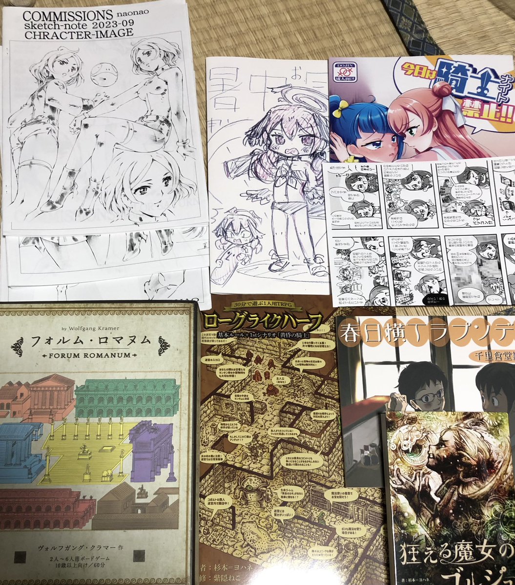 本日のいただいたものだったり、購入したりv久々のゲームブック楽しみーv(╹◡╹)。。。帰りにアキバなんてよらなければボドゲも買わなかった。。。v 