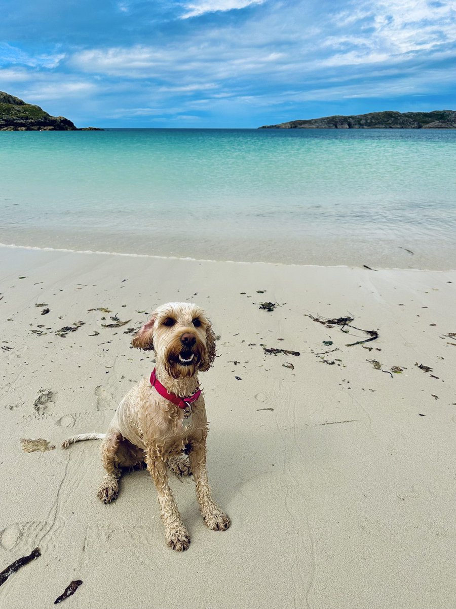 Where are we? …. 👀📍

#teacherlife #holiday