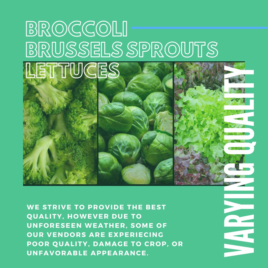 WW_Produce's tweet image. 📌Avocado pricing is on the rise, especially for 60ct &amp;amp; larger. Want to stay up to date on the produce market? DM us to join our weekly newsletter list and receive the full scoop straight to your inbox every Friday!
.
#MarketUpdate #Produce #OnTrend #WhatsNew #Seasonal #Fresh