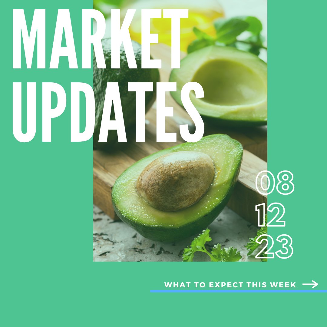 WW_Produce's tweet image. 📌Avocado pricing is on the rise, especially for 60ct &amp;amp; larger. Want to stay up to date on the produce market? DM us to join our weekly newsletter list and receive the full scoop straight to your inbox every Friday!
.
#MarketUpdate #Produce #OnTrend #WhatsNew #Seasonal #Fresh