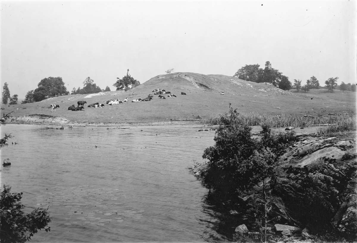 Marsden Sand Ramps Les grands espaces de l'Ontario peuvent nous faire paraître minuscules ...