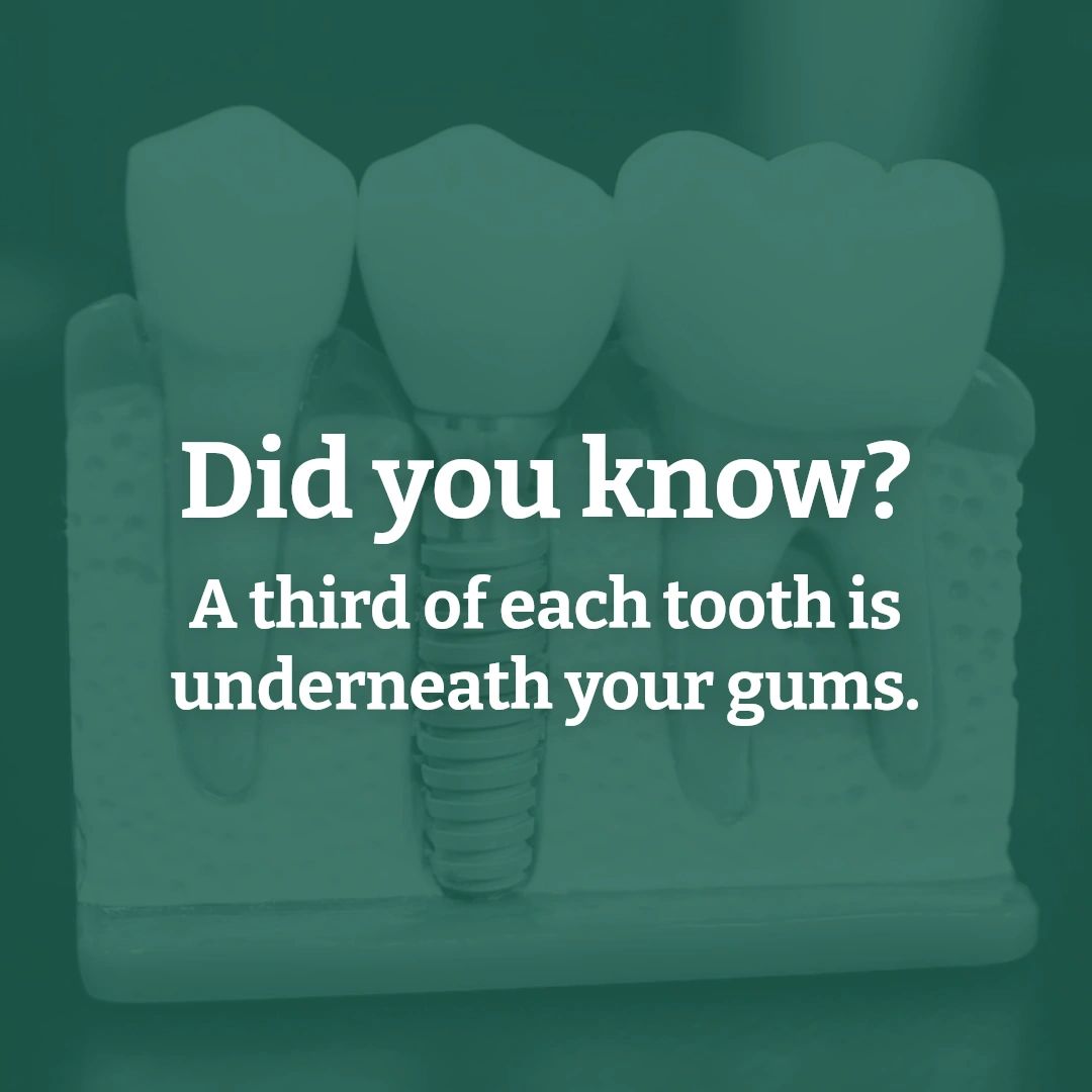 sandquistdds's tweet image. That's why it's important to keep your gums healthy! If you're finding traces of blood when you brush or floss, flossing once daily and brushing your teeth for two minutes twice daily are the first simple steps to removing plaque and food debris that can lead to bleeding gums.