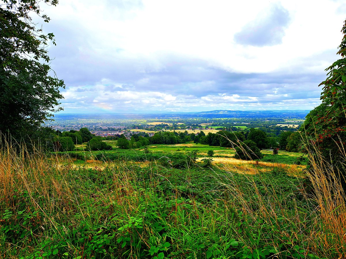 Gareth Ware tweet media