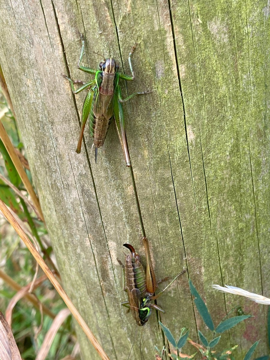 Jeff Cox tweet media