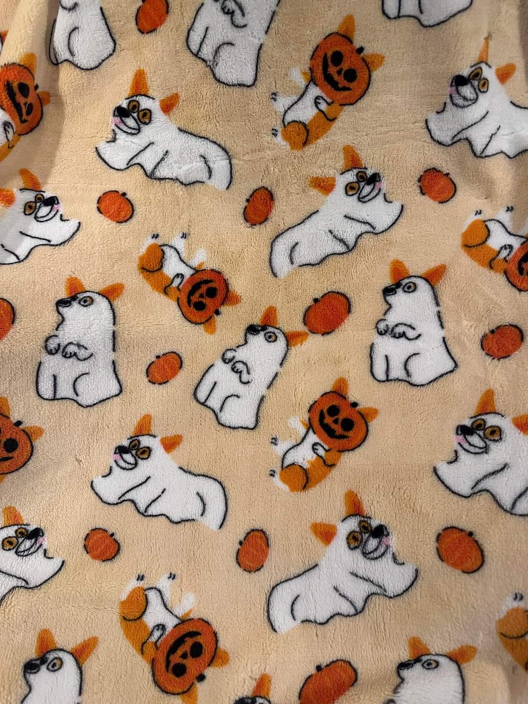 Corgi halloween cheap blanket