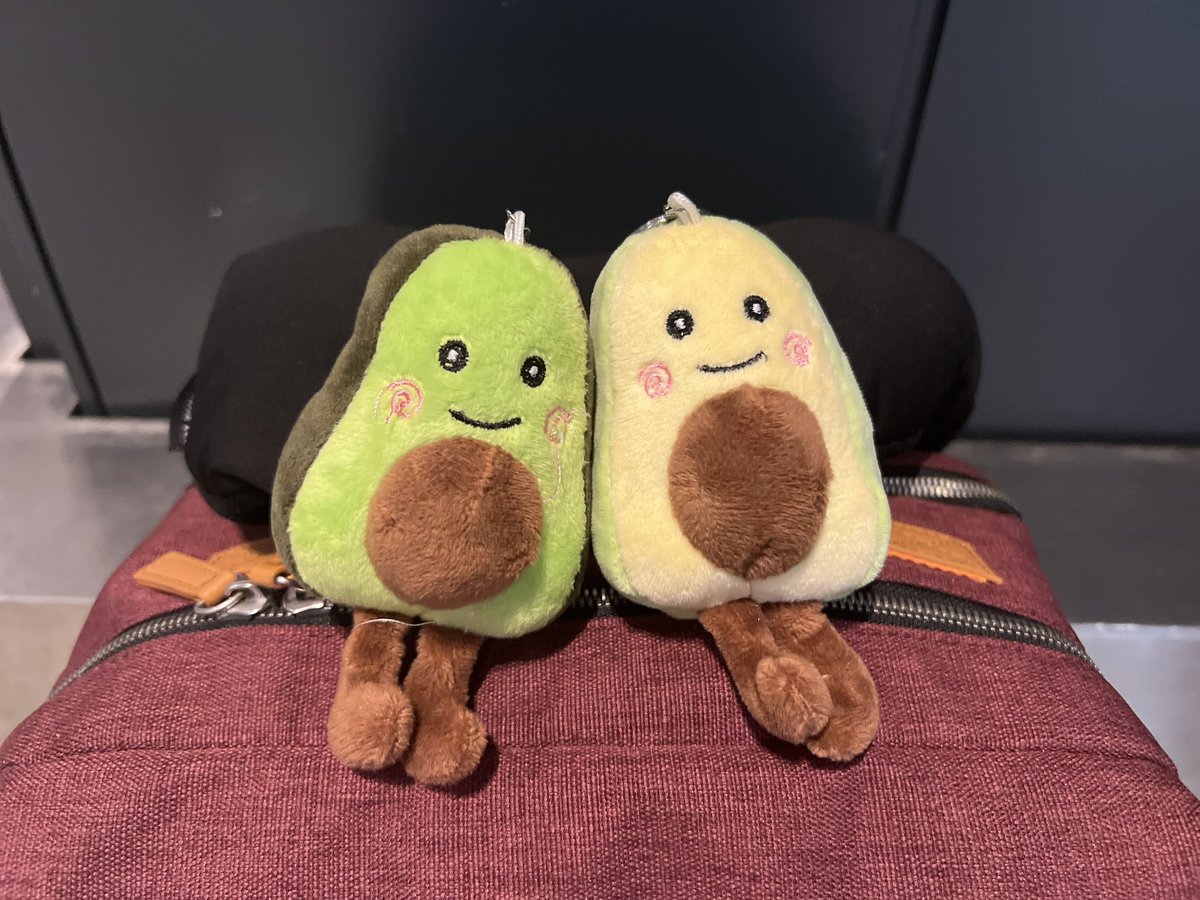 aalmiray's tweet photo. From now on @ixchelruiz and I travel with style #devavocados🥑 https://t.co/mXxsdbX7tu