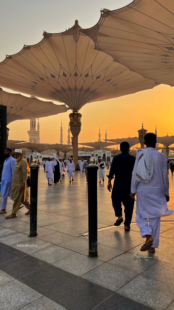 hana_almadina's tweet photo. أحب المدينة والله يشهد ♥️♥️ https://t.co/I79LihSrOX